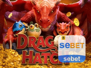 Peça BR — welcome e lobby no APK