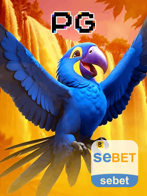 SEBET bônus — cashback 15 por cento e níveis VIP