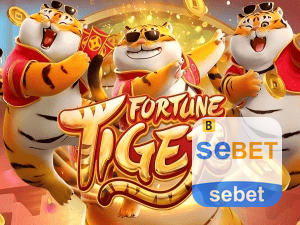 Guia install APK SEBET BR