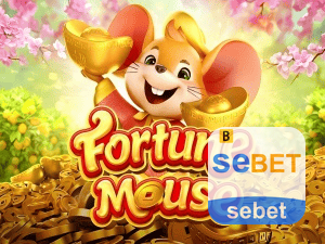 SEBET login — configurações de segurança e proteção de conta